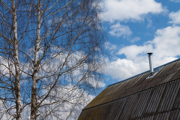 The roof of the house and birch trees on blue sky background