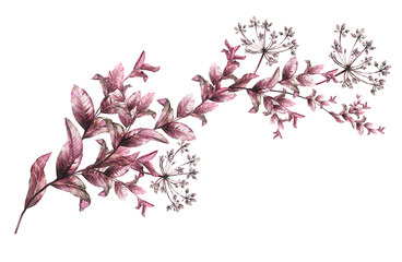 red  plants elements.  wild herb,  branches with leaves, illustration isolated on white background, exotic. watercolor style.