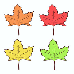 Cute hand drawn maple leaves set, canadian symbol
