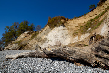 Kreidefelsen, Baumstamm am Strand, Stubbenkammer, Rügen