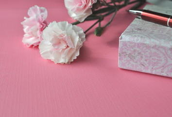 Carnations notebook and pen on a pink background