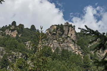 Fototapeta na wymiar Sunlit mountain top overgrown with coniferous forest and glade on the ecological walk toward Maliovitza peak in Rila mountain, Bulgaria 