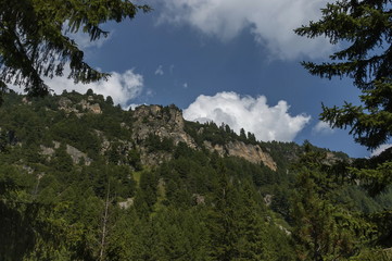 Sunlit mountain top overgrown with coniferous forest and glade on the ecological walk toward Maliovitza peak in Rila mountain, Bulgaria 