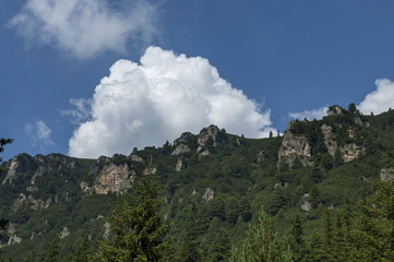 Sunlit mountain top overgrown with coniferous forest and glade on the ecological walk toward Maliovitza peak in Rila mountain, Bulgaria 
