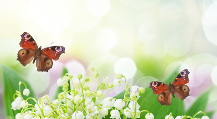 Bunch of Lilly of valley close up in garden with butterflies banner
