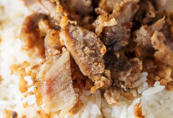 Rice with fried pork close up