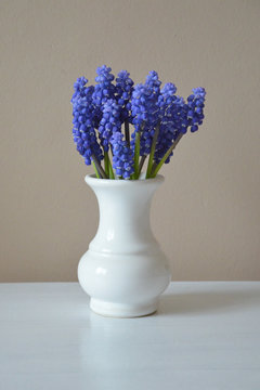 Flowers in a vase