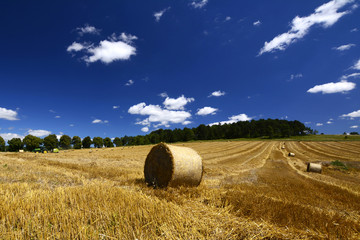 bales of straw in stubble field during harvest, summer landscape under blue sky