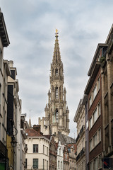 Fototapeta na wymiar Historische Gebäude in Brüssel, Belgien
