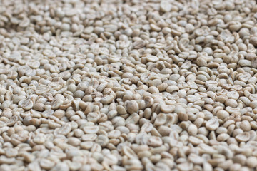 Background of green coffee bean prepare for roasting