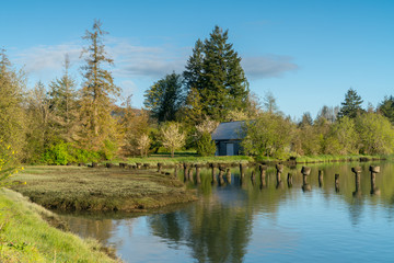 Obraz premium Mud Bay Morning