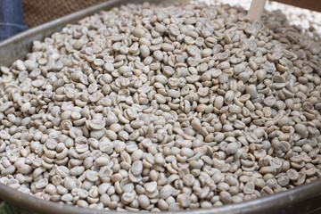 Background of green coffee bean prepare for roasting