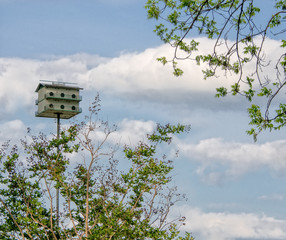 Martin Bird house with trees and blue summer sky