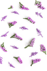 spring design in pastel color with purple flowers top view pattern