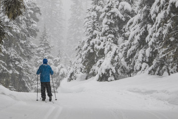 Fototapeta na wymiar Man cross-country skiing in a snowstorm