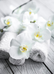 Fototapeta na wymiar White Orchid on wooden background with towel
