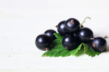black currant berry background