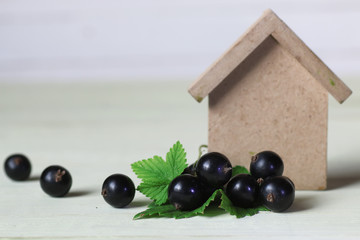 currant berry on wooden table