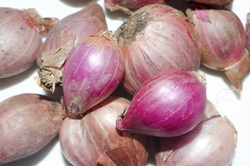 shallots close up background