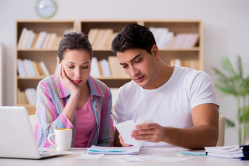 Obraz premium Young family discussing family finances