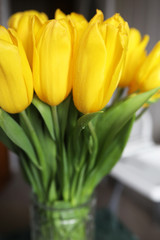 A bouquet of fresh yellow tulips in a vase