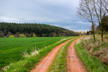 Fototapeta na wymiar Spring landscape in South Bohemian region - Czech Republic
