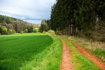 Fototapeta na wymiar Spring landscape in South Bohemian region - Czech Republic