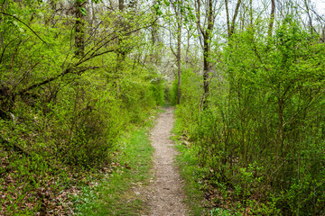 Fototapeta na wymiar Landscape of Nixon Park in Loganville, Pennsylvania