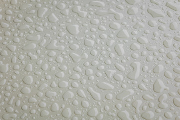Water drops on white  blackground .