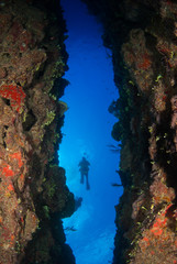 Fototapeta na wymiar A diver swims through a large crack in the tropical reef which forms a sort of underwater passage. Coral can be seen in the foreground with the blue ocean above