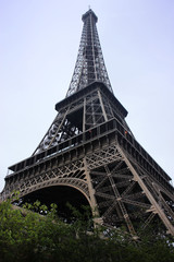 Fototapeta na wymiar Eiffel Tower in Paris France