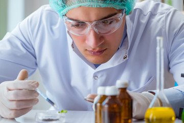 Biotechnology scientist working in the lab