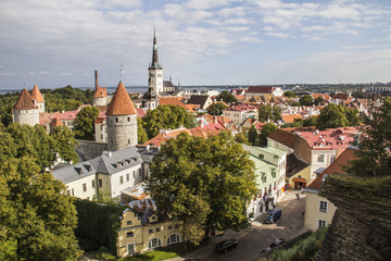 Fototapeta na wymiar Tallinn - Old City 