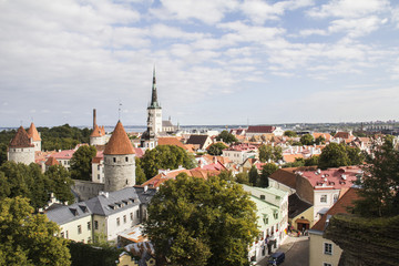 Naklejka na ściany i meble Tallinn - Old City 