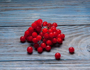 Viburnum berries  on wooden background. Guelder-rose berries