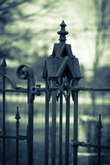 Wrought Iron Fence