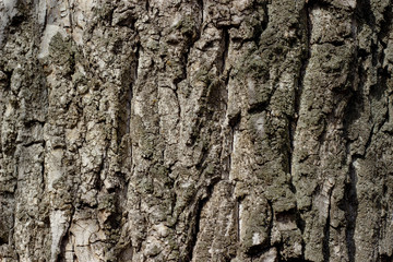 texture