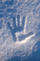 The palm print on the snow