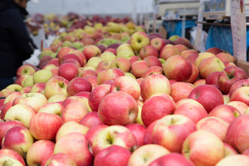 Farmer's Market