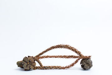 Car of fruit seeds on a light background