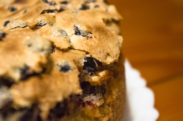 sponge cake with black currants