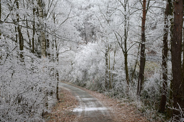 Weg mit Raureif
