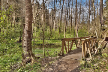 new wooden footbridge in spring Peklo valley in czech tourist area Machuv kraj