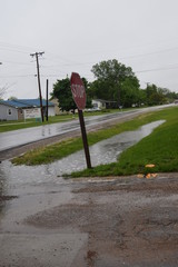 Ditch Water