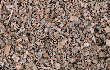 Background of painted wood chips on the soil