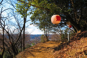 山から見た町の風景1