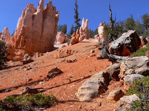 Bryce red sandstone formations