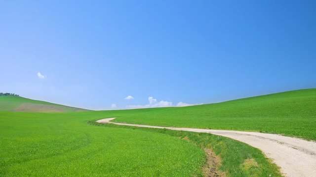 Panoramic footage of a landscape of the Tuscan green hills and cypress tree