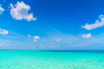 Fototapeta na wymiar Beautiful tropical Maldives island with white sandy beach and sea .