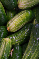 Cucumbers